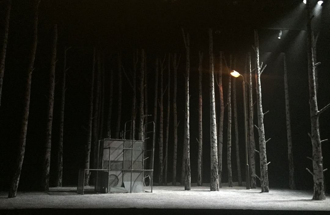 Dlaczego warto oglądać musicale z napisami?